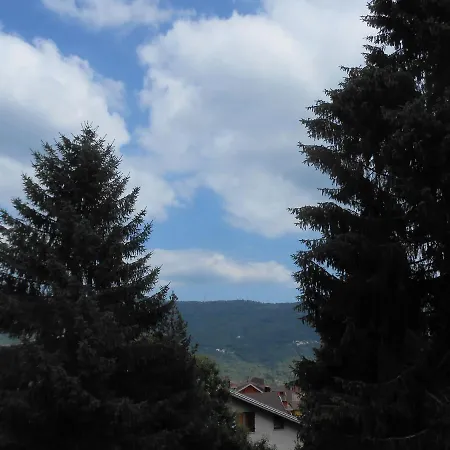 La Spiga Blu * Viola