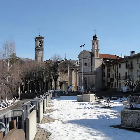 La Spiga Blu * Viola